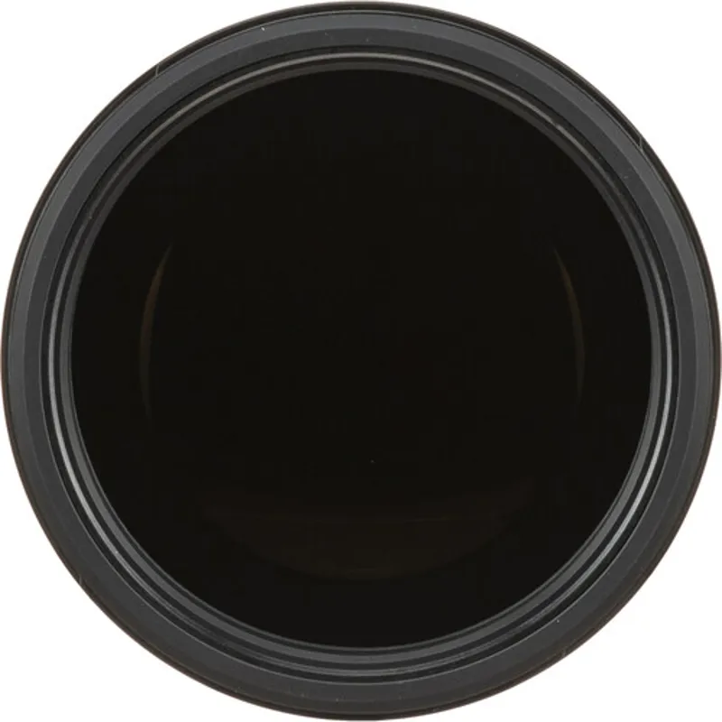 Sony FE 200-600mm f5.6-6.3 G OSS Lens-3